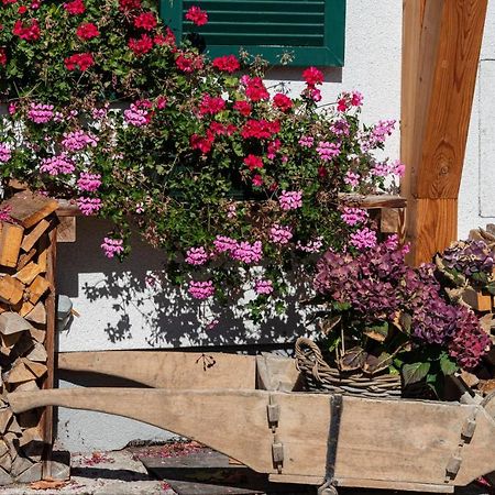 Ferienwohnung Flora Altaussee Kültér fotó