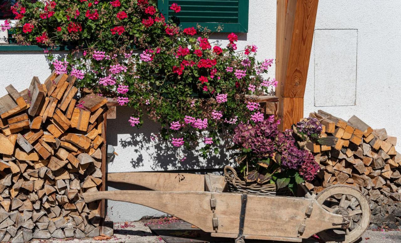 Ferienwohnung Flora Altaussee Kültér fotó